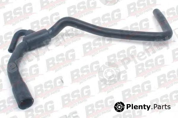  BSG part BSG65720004 Hose, heat exchange heating