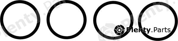  VICTOR REINZ part 11-38519-01 (113851901) Gasket Set, intake manifold