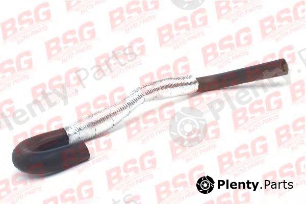  BSG part BSG30-720-090 (BSG30720090) Hose, heat exchange heating
