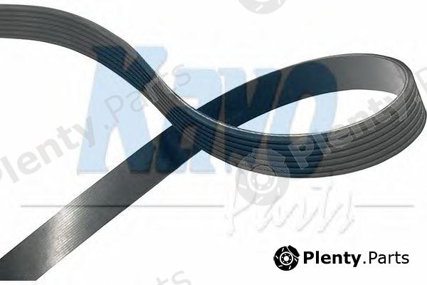  KAVO PARTS part DMV-9038 (DMV9038) V-Ribbed Belts