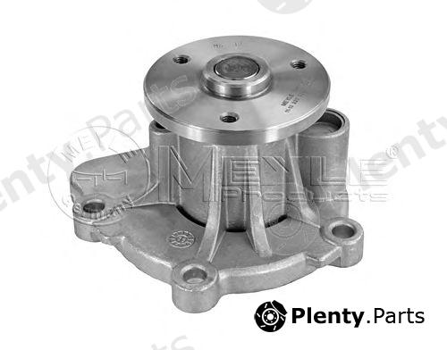 MEYLE part 11-132200025 (11132200025) Water Pump