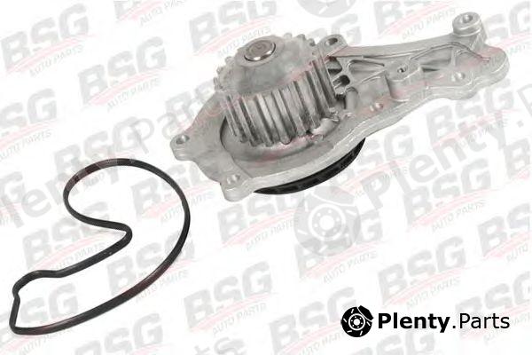  BSG part BSG30-500-014 (BSG30500014) Water Pump