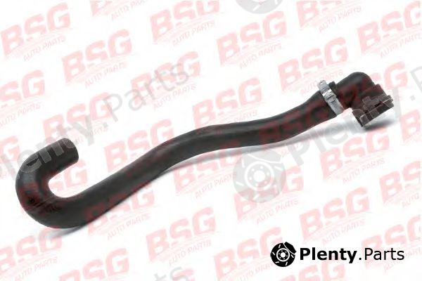  BSG part BSG30-720-081 (BSG30720081) Hose, heat exchange heating