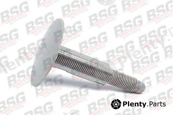  BSG part BSG30-995-011 (BSG30995011) Clip