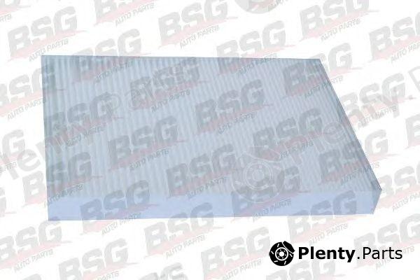  BSG part BSG60-145-001 (BSG60145001) Filter, interior air