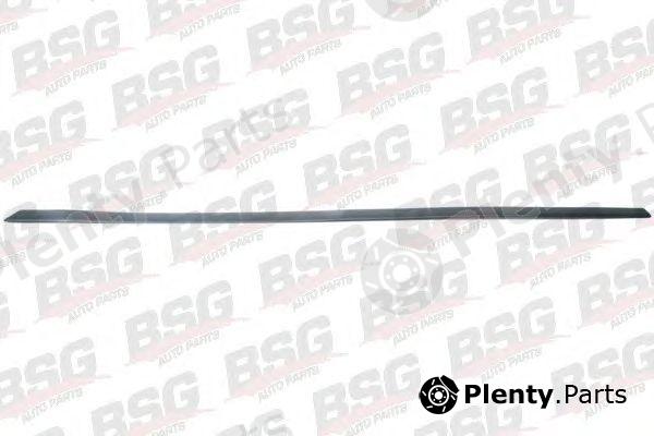  BSG part BSG30-924-020 (BSG30924020) Trim/Protective Strip, door