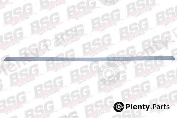  BSG part BSG65-924-007 (BSG65924007) Trim/Protective Strip, door