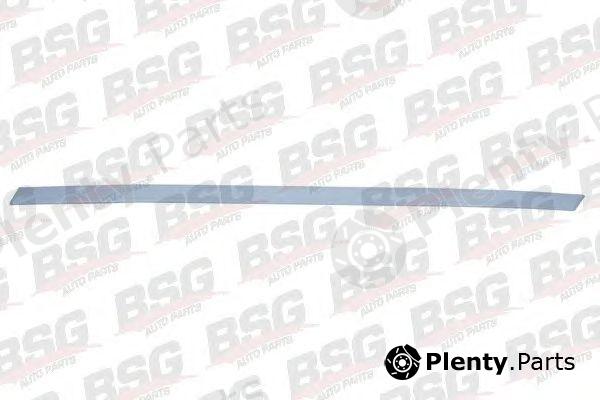  BSG part BSG65-924-008 (BSG65924008) Trim/Protective Strip, door