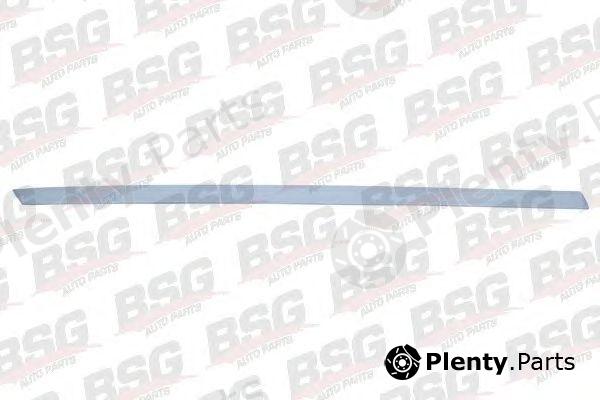  BSG part BSG65-924-009 (BSG65924009) Trim/Protective Strip, door