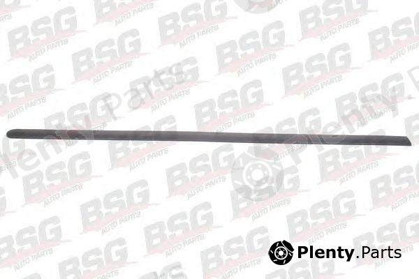  BSG part BSG65-924-017 (BSG65924017) Trim/Protective Strip, door