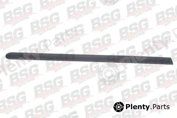  BSG part BSG65-924-019 (BSG65924019) Trim/Protective Strip, door