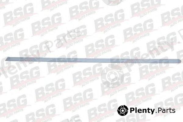  BSG part BSG65-924-022 (BSG65924022) Trim/Protective Strip, door