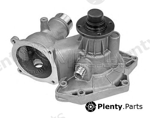  MEYLE part 3130111100 Water Pump