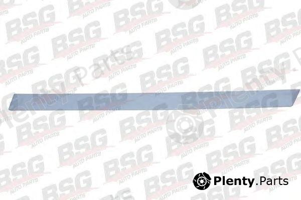  BSG part BSG65-924-003 (BSG65924003) Trim/Protective Strip, door