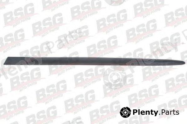  BSG part BSG65-924-013 (BSG65924013) Trim/Protective Strip, door