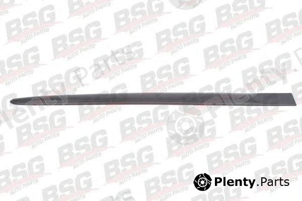  BSG part BSG65-924-014 (BSG65924014) Trim/Protective Strip, door