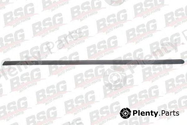  BSG part BSG65924016 Trim/Protective Strip, door