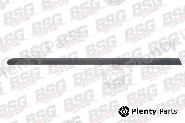  BSG part BSG65-924-018 (BSG65924018) Trim/Protective Strip, door
