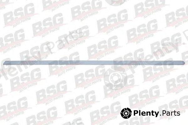  BSG part BSG65-924-021 (BSG65924021) Trim/Protective Strip, door