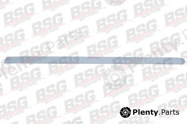  BSG part BSG65-924-023 (BSG65924023) Trim/Protective Strip, door