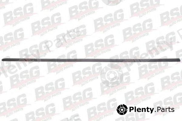  BSG part BSG65-924-026 (BSG65924026) Trim/Protective Strip, door