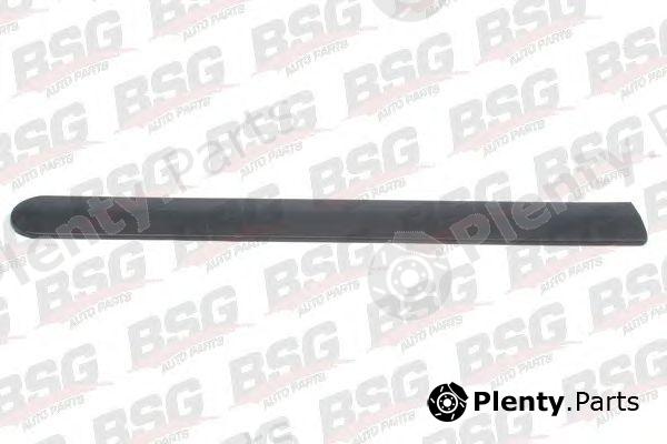  BSG part BSG65-924-028 (BSG65924028) Trim/Protective Strip, door