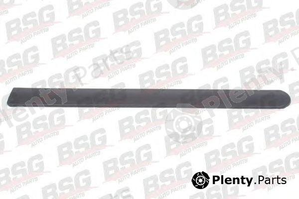  BSG part BSG65-924-029 (BSG65924029) Trim/Protective Strip, door