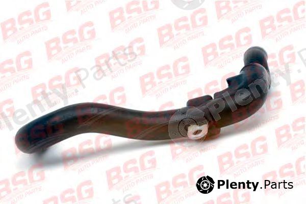  BSG part BSG30-720-017 (BSG30720017) Hose