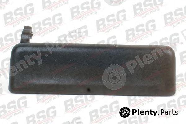  BSG part BSG30970008 Door Handle