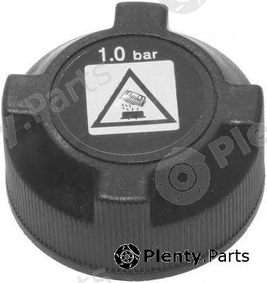  VEMA part 15961 Cap, radiator