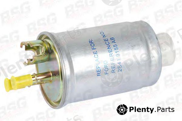  BSG part BSG30-130-005 (BSG30130005) Fuel filter
