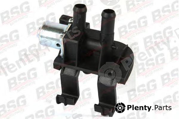  BSG part BSG30-838-001 (BSG30838001) Control Valve, coolant