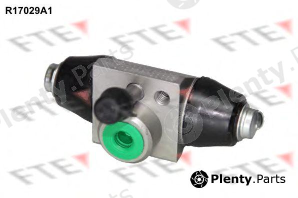  FTE part R17029A1 Wheel Brake Cylinder