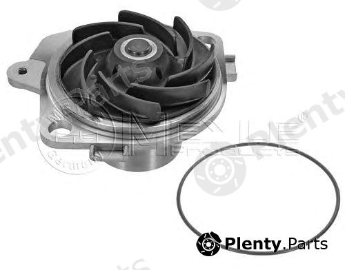  MEYLE part 6132200001 Water Pump