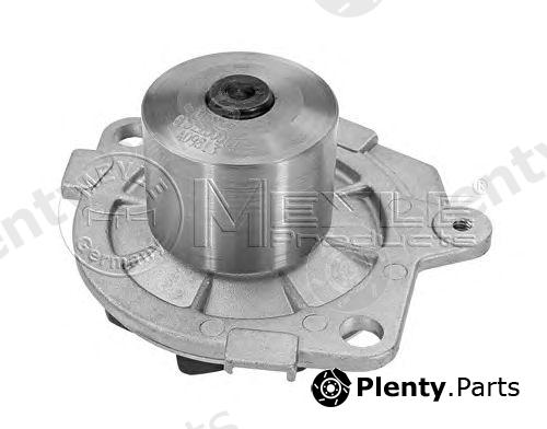  MEYLE part 6132200001 Water Pump