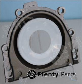  CORTECO part 20019557B Shaft Seal, crankshaft