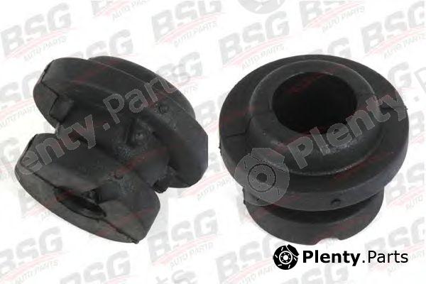  BSG part BSG30-700-110 (BSG30700110) Mounting Kit, heat exchanger