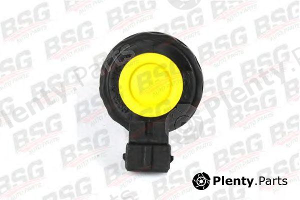  BSG part BSG30-860-004 (BSG30860004) Plug, brake fluid reservoir