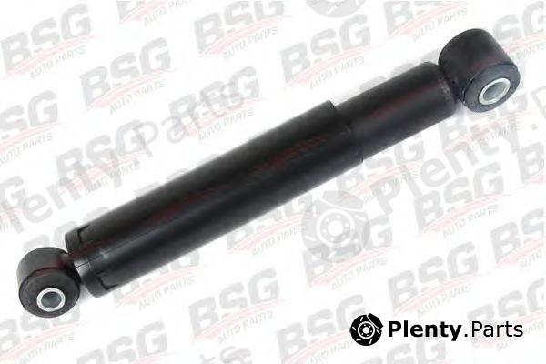  BSG part BSG60-300-009 (BSG60300009) Shock Absorber