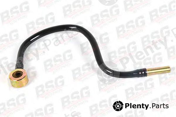  BSG part BSG30-725-021 (BSG30725021) Fuel Hose