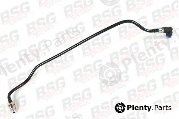 BSG part BSG30-725-022 (BSG30725022) Fuel Hose