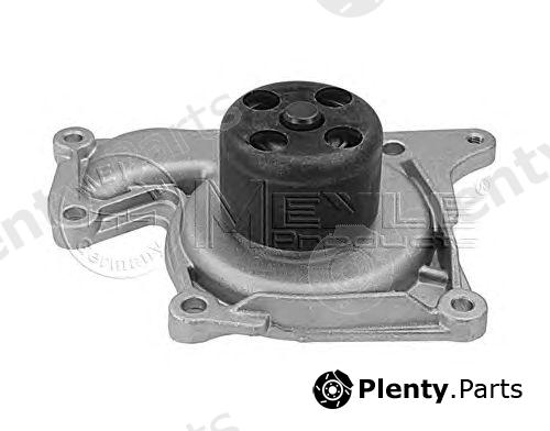  MEYLE part 16-132200023 (16132200023) Water Pump