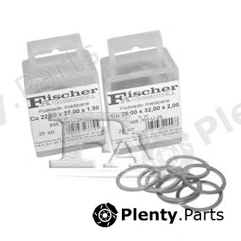  FA1 part 015.810-U-15 (015810U15) Seal Ring