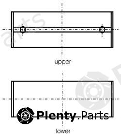  KOLBENSCHMIDT part 77753620 Main Bearings, crankshaft