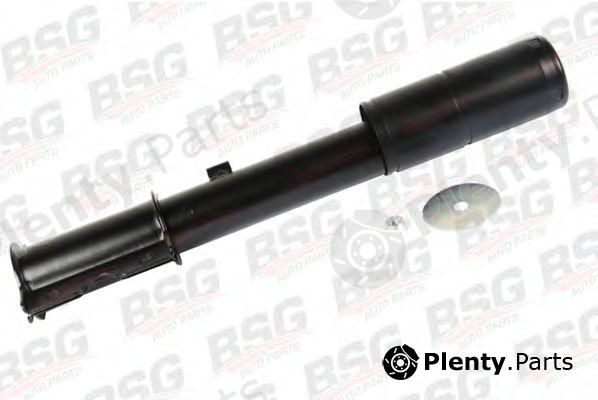  BSG part BSG30-300-005 (BSG30300005) Shock Absorber