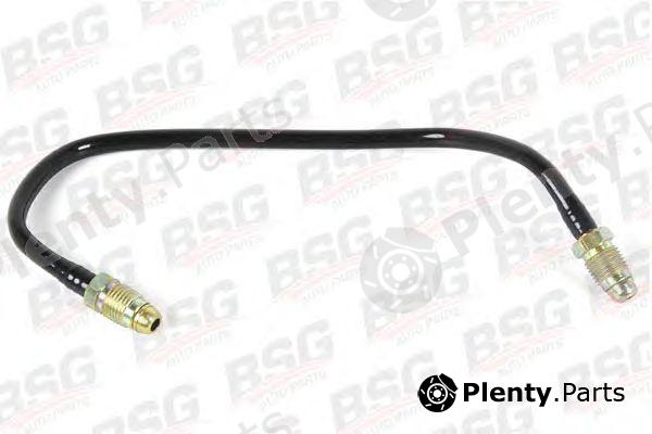  BSG part BSG30-725-014 (BSG30725014) Fuel Hose