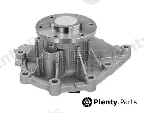  MEYLE part 12345006642 Water Pump