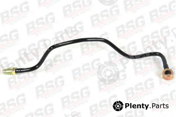  BSG part BSG30-725-018 (BSG30725018) Fuel Hose