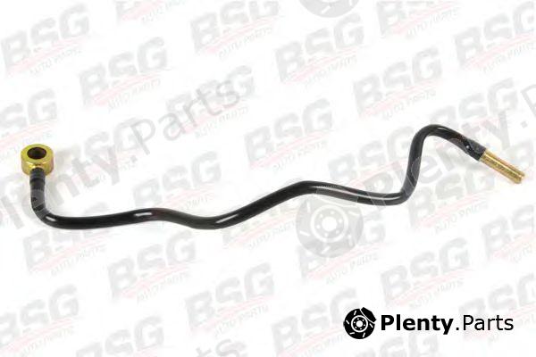  BSG part BSG30-725-020 (BSG30725020) Fuel Hose