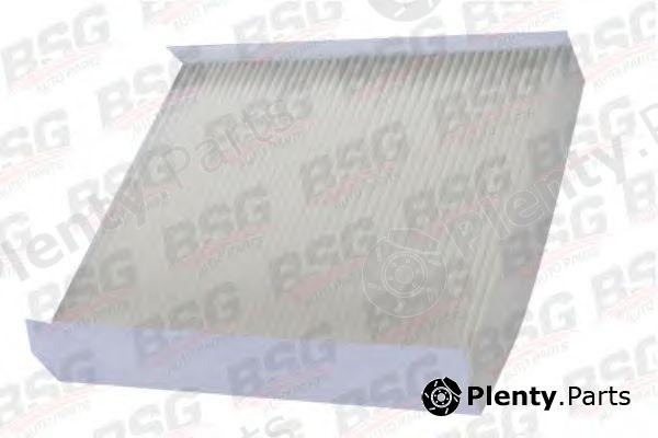  BSG part BSG30-145-006 (BSG30145006) Filter, interior air